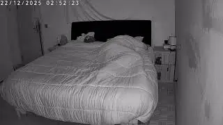 Probable Nightly Focal Epilepsy: foot, calf and torso (22/12/2025) # 1