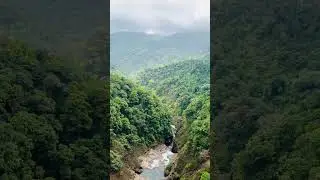 #trekking #goaroadtrip #jungle #travel #surlaroute #goa