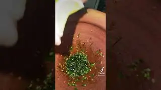 How to make a good Thai green chili hot sauce