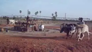 Ox Power Generator