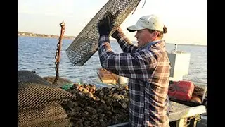 Local Life: East Hampton Town - #1 Mike Martinsen