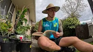 HOW TO repot plants | Riccarton, New Zealand