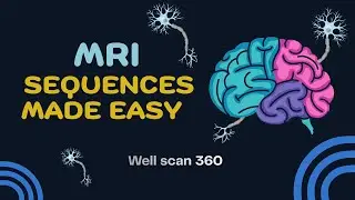MRI Brain Sequences Simplified | Medical Imaging | Radiology Made Simple | Well Scan360