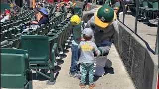 Baseball Security Experience (Oakland A&rsquo;s vs Boston Red Sox) *Home Game 50* [**Mascot Bodyguard**]