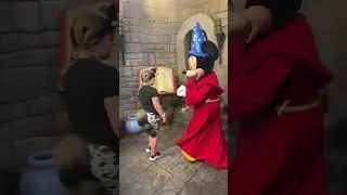 #sorcerermickey