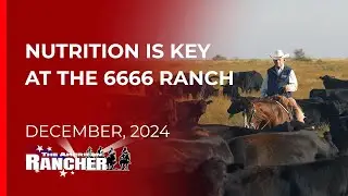 6666 by VitaFerm Legendary Nutrition Protein tub   The American Rancher   12 16 2024