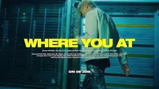 Cri De Joie - WHERE YOU AT (Feat. 박현진) (OFFICIAL MV)