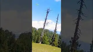 Siri Pa'ey Meadows | Highlights #travel #nature #tourism #siripaye