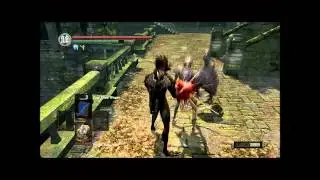 DARK SOULS: I AM NOW A DRAGONBRO