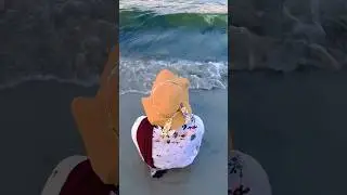 Clear water beach 🏝️ #usa #shorts #travel #beach #clearwaterbeach