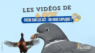 Focus sur les ACT : on vous explique !