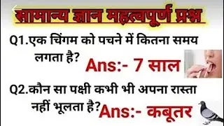 LIVE GK Questions in Hindi | SSC, Railway, Banking, UPSC | Important General Knowledge Questions