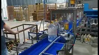 Big Drums Servo Translation Pick and Place Case Packer to Grab 2 Cases