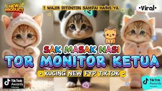 TOR MONITOR KETUA SAK MASAK NASI ORANG BARU LEBE GACOR KETUA VERSI KUCING LUCU LUCU
