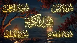 بث مباشر تلاوة القرآن الكريم | يس، الرحمن، الواقعة، الملك بصوت خاشع
