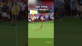 Expect anything different?? Tiger Woods magic at the 2015 Wyndham Championship 🐅