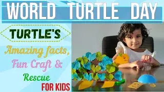 World Turtle Day - Amazing Facts, Fun Craft & Rescue operation of Turtles for Kids