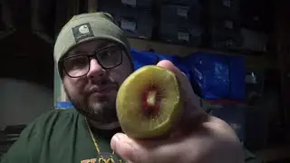 А вы знали, что кожуру киви можно есть, и это очень полезно для здоровья?