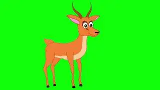 green screen video editor cartoon animated deer