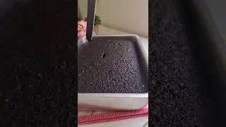 Bolo de chocolate black
