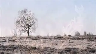 Winterse sfeer (Natuurlijk! 05-01-2026)