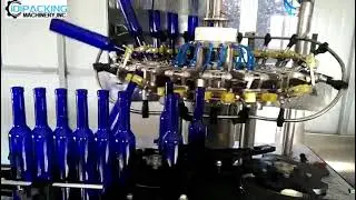 Automatic dark blue beer wine bottle rising washing machine bottle washing equipment
