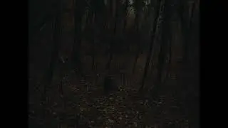 Alek - cenere (Visual Video)