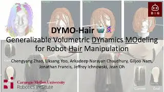 DYMO-Hair: Generalizable Volumetric Dynamics Modeling for Robot Hair Manipulation