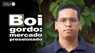 Boi gordo: mercado pressionado  , analisa Gustavo Duprat, da Scot Consultoria