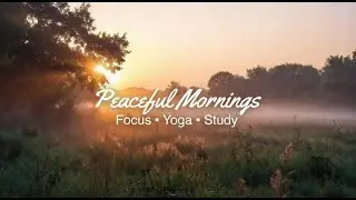 Beautiful Nature & Soft Instrumental Music for Focus, Study & Calm Mornings  #yoga #music #nature