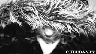 CHEEBAY - ICH BIN ICH (2013)