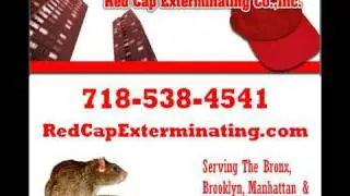 Video by Local-Interactive.com Exterminator Bronx NY