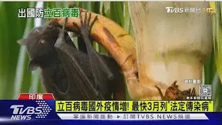 立百病毒國外疫情增! 最快3月列「法定傳染病」｜TVBS新聞 @TVBSNEWS01