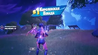 Fortnite C2S1/Arena/ First Top1.