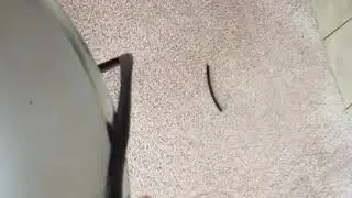 How to repair your barstool floor protectors in a minute