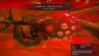 Warframe - Purple Velocipod Spawn Locations