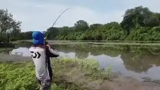 &ldquo;RUN DANIEL!&rdquo; Crocodile Attacks Fisherman and Steals His Fish