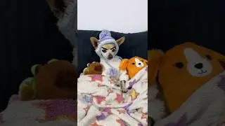 Pelitos quiere desayunar chilaquiles bien picantes