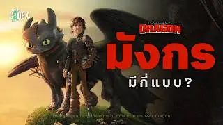 “สารานุกรมไวกิ้ง” เปิดสายพันธุ์มังกรทุกประเภทใน How to Train Your Dragon | The Codex