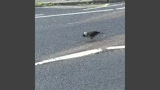 Acid Drift