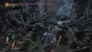DARK SOULS&trade; III Getting the FUGS