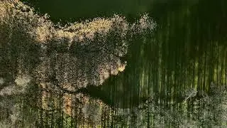 Harsz z drona – migawki z jesiennego wypadu na Mazury