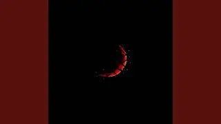 aLien eXperiment