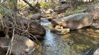 FALL COLORS at Horton Creek Trail - Payson, Arizona 11.4.25