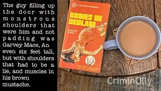 Bodies in Bedlam by Richard S Prather - pulp crime book review
