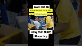 Noon warehouse job in Dubai UAE for male and female.free Visa Ticket and Accommodations