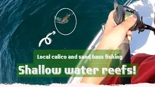 Local calico bass, sand bass, and sculpin fishing off Huntington Beach (Shallow water reefs)