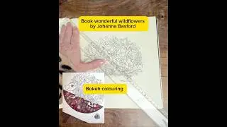 Book &bdquo;enchanted forest, special edition&ldquo; by Johanna Basford. Bokeh colouring