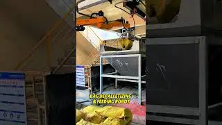 Bag Depalletizing & Feeding Robot😎#depalletizing #automation #robotics #robotics #palletizing #robot
