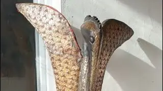 African Hornbill Senufo Bird Unboxing #5
